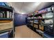 Finished storage room with metal storage shelves, carpeted flooring and freshly painted blue walls at 415 Oak Laurel Ct, Johns Creek, GA 30022