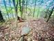 View of wooded land with trees and leaves covering the ground on a sunny day at 7675 Lanier View Rdg, Cumming, GA 30041
