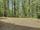 The backyard features a lawn surrounded by mature trees at 1004 Westminister Ct, Woodstock, GA 30188