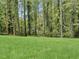The backyard features a green lawn surrounded by mature trees at 1004 Westminister Ct, Woodstock, GA 30188
