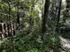 Scenic backyard featuring lush greenery, mature trees, and a charming wooden fence for privacy at 1164 Oldfield Rd, Decatur, GA 30030