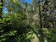 Property lot line view of overgrown, heavily wooded area at 1164 Oldfield Rd, Decatur, GA 30030