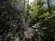 Property lot line view of heavily wooded area at 1164 Oldfield Rd, Decatur, GA 30030