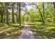 Picture of land with numerous trees and a dirt path at 728 Wesley Nw Dr, Atlanta, GA 30305