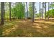Large backyard with mature trees, green grass, blue house, and backyard shed at 1697 Ramblewood Way, Snellville, GA 30078