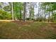 Lush green backyard with mature trees, offering plenty of space for outdoor activities at 1697 Ramblewood Way, Snellville, GA 30078