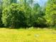 Lush backyard featuring well-maintained lawn space and mature trees create a private oasis at 5700 Abbotts Bridge Rd, Johns Creek, GA 30097
