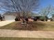Well-maintained home with large tree in front yard, with a two-car garage at 1365 Jubilee Ln, Mcdonough, GA 30253