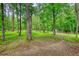 Spacious wooded backyard with lush greenery and mature trees offers privacy at 1080 Gaithers Rd, Mansfield, GA 30055