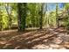 A spacious backyard view, featuring mature trees and leading to a pathway, creating a serene outdoor setting at 5272 Cumberland Way, Stone Mountain, GA 30087