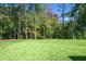 Expansive backyard featuring a well-kept lawn bordered by dense trees at 2013 Ripple Park Bnd, Canton, GA 30114