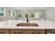 Large kitchen island with stainless steel sink, ample counter space, and a view to the backyard at 2013 Ripple Park Bnd, Canton, GA 30114