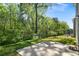 Backyard with a concrete slab surrounded by greenery at 224 Eva Way, Cartersville, GA 30121