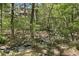Backyard creek flowing through the trees at 560 Brook Manor Dr, Johns Creek, GA 30022