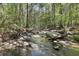 Picturesque creek surrounded by trees, creating a tranquil nature setting at 560 Brook Manor Dr, Johns Creek, GA 30022