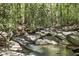 Scenic creek flowing through a lush, wooded area, offering natural beauty at 560 Brook Manor Dr, Johns Creek, GA 30022