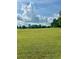 Expansive, grassy parcel of land under a blue sky with scattered trees, ready for development at 4392 Lower Fayetteville Rd, Sharpsburg, GA 30277