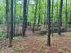 Dense woodland featuring tall trees and leafy undergrowth on the forest floor at 4392 Lower Fayetteville Rd, Sharpsburg, GA 30277