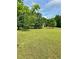 Picturesque vacant lot features a vast expanse of lush green grass, surrounded by mature trees, with cloudy skies above at 4392 Lower Fayetteville Rd, Sharpsburg, GA 30277