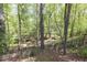 Wooded backyard with mature trees and a classic wooden fence at 2945 Barimore Pl, Dacula, GA 30019