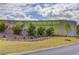 Town Center on Main sign and DeLacy Nature Park displayed on an attractive green wall at 4236 Tacoma Trce, Suwanee, GA 30024