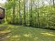 Serene backyard with lush green lawn and mature trees, offering privacy and a peaceful setting at 351 Ridgewater Dr, Marietta, GA 30068