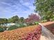 Inviting community pool area with colorful umbrellas and comfortable lounge chairs at 351 Ridgewater Dr, Marietta, GA 30068