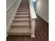 Carpeted stairs with white risers lead to the upper level of the home at 558 Fairview Oak Place, Dallas, GA 30157