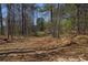 Gravel driveway surrounded by a forest of trees, leading to a secluded location surrounded by nature and tall trees at 8740 Atlanta Newnan Rd, Chattahoochee Hills, GA 30268