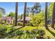 Charming front yard with vibrant landscaping and a cozy brick home nestled between mature trees at 1919 Edinburgh Ne Ter, Atlanta, GA 30307