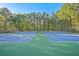Dual community tennis courts featuring blue surfaces and green perimeters nestled amongst mature trees at 384 Parc River Blvd, Lawrenceville, GA 30046