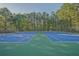 The community features well-maintained tennis courts with a blue and green surface at 384 Parc River Blvd, Lawrenceville, GA 30046
