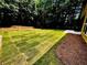Spacious backyard with recently laid sod and a wooded area, perfect for outdoor activities and enjoying nature at 365 Friars Head Dr, Suwanee, GA 30024