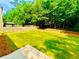 Expansive backyard with a newly installed lawn, bordered by mature trees and a wooden fence at 365 Friars Head Dr, Suwanee, GA 30024