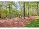 Backyard play area featuring swings and slide surrounded by trees, perfect for outdoor fun at 2435 Farmer Road, Conyers, GA 30012