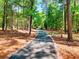 Long paved driveway lined with trees providing a private entrance to the property at 2435 Farmer Road, Conyers, GA 30012