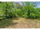 Expansive backyard with lush lawn and mature trees, perfect for outdoor activities and relaxation at 2032 Parker Ranch Se Rd, Atlanta, GA 30316