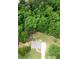 Aerial view of a quaint house surrounded by lush, mature trees and a long private driveway at 201 Rustin Dr, Dallas, GA 30157