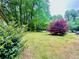 Spacious front yard with lush green grass and mature trees at 4437 Janice Dr, Snellville, GA 30039