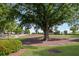 Spacious community park featuring a large tree and expansive green lawn at 1976 Boyd Trace Nw Ln, Atlanta, GA 30318
