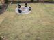 Large backyard featuring a fire pit surrounded by modern chairs and new sod installation at 3770 Falling Leaf Ln, Cumming, GA 30041