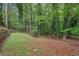 Lush backyard with mature trees and greenery, offering privacy and tranquility at 2895 Shurburne Dr, Alpharetta, GA 30022