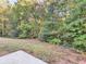 Overgrown backyard backing up to a lush green forest at 124 Williams Blf, Mcdonough, GA 30252