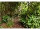 A backyard walking trail through the trees at 4228 Durham Cir, Stone Mountain, GA 30083