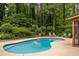 Inviting backyard pool with lounge chairs, lush greenery providing privacy, and a serene atmosphere for relaxation at 4228 Durham Cir, Stone Mountain, GA 30083