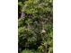 Lush foliage with purple flowers and a bird house at 4228 Durham Cir, Stone Mountain, GA 30083