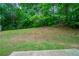Green and partially shaded backyard with trees and a view of the woods at 3777 Oakland Spring Ct, Snellville, GA 30039