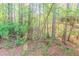 Landscaped backyard featuring mature trees and greenery at 3856 Vine Stone Dr, Lithonia, GA 30038