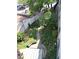 Overhead view of a serene garden area with lush greenery and inviting pathways at 172 Haynes Sw St # 107, Atlanta, GA 30313