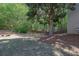 Secluded backyard with mature trees and a wooden fence, offering privacy and shade at 1076 Firethorne Pass, Cumming, GA 30040